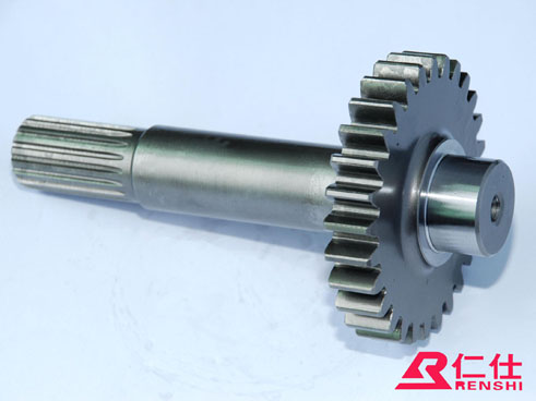 軸齒 - 副本.jpg