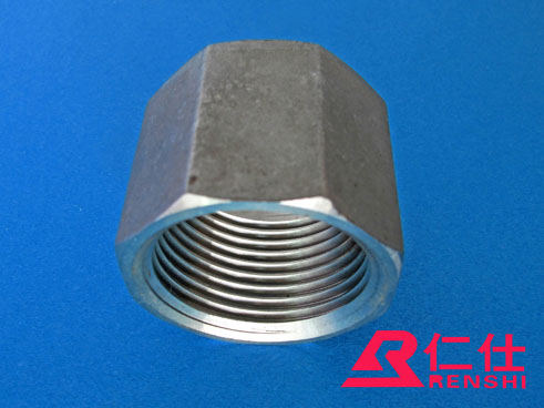 不銹鋼帽(規(guī)格4″- 3′) - 副本.jpg